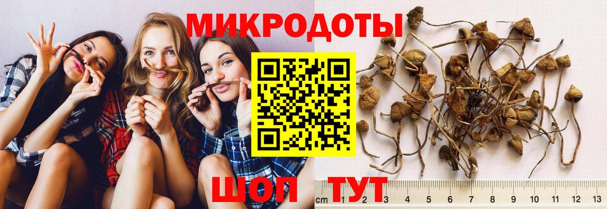 Псилоцибиновые грибы ЛСД Ялуторовск