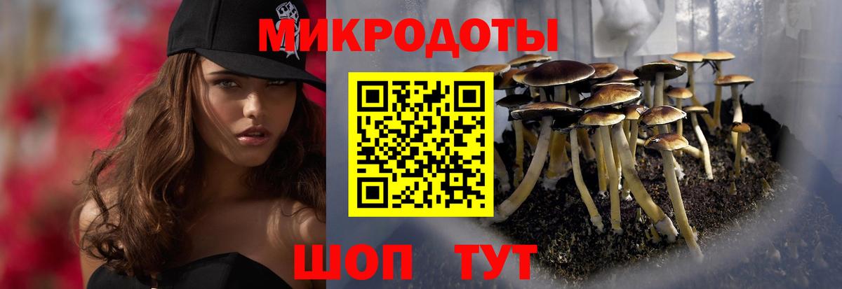 где продают наркотики  Псилоцибиновые грибы прущие грибы  Вход с VPN  Ялуторовск  Псилоцибиновые грибы ЛСД 
